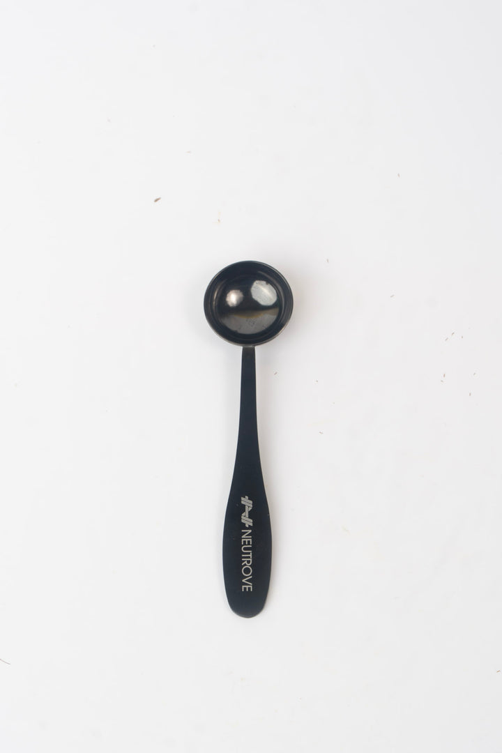 Stainless Steel Serving Spoon