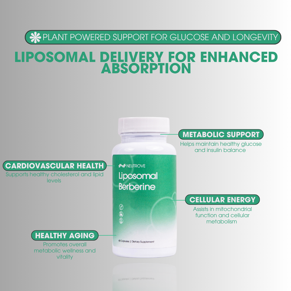 Liposomal Berberine secondary image