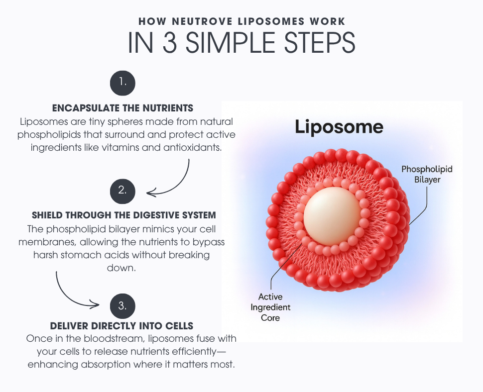 Cellular Longevity Plus