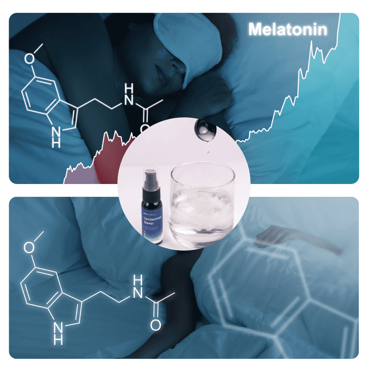 What is Liposomal Sleep?